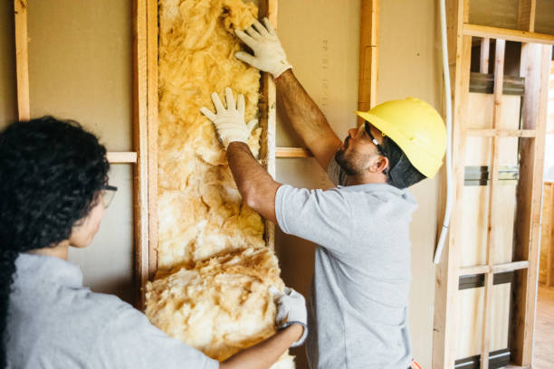 Best Spray Foam Insulation  in Fort Salonga, NY