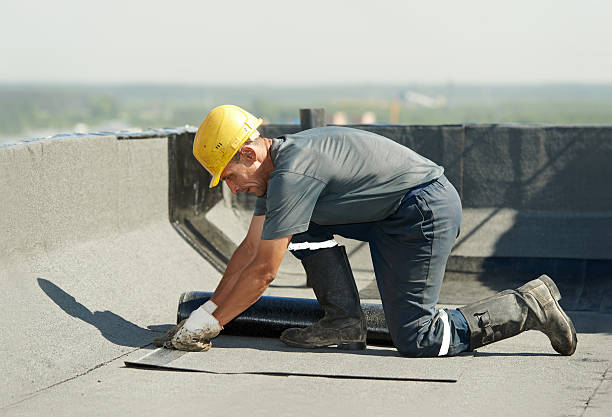 Best Insulation Contractor Near Me  in Fort Salonga, NY