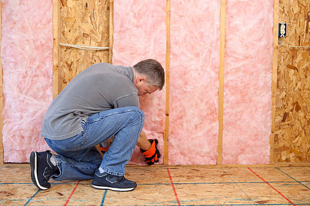 Best Wall Insulation Contractor  in Fort Salonga, NY