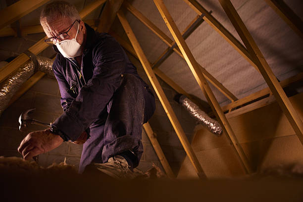 Best Professional Insulation Contractor  in Fort Salonga, NY