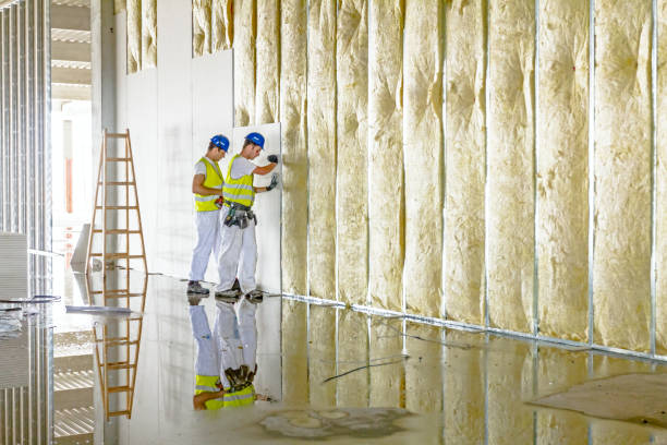 Best Soundproof Insulation Installation  in Fort Salonga, NY